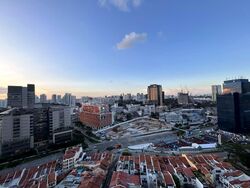Spottiswoode Suites (D2), Apartment #536749401